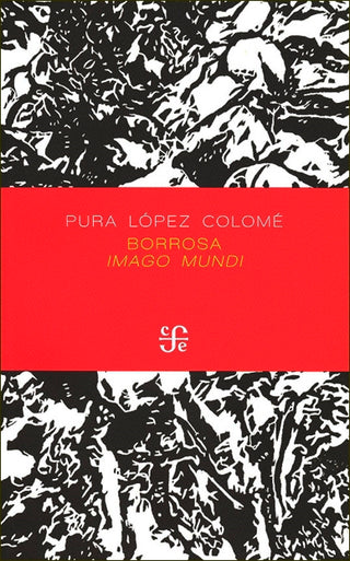 Libro Borrosa Imago Mundi                                     9786071671417