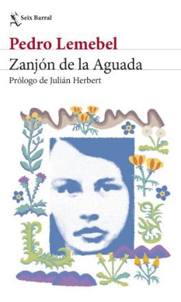 Libro Zanjón De La Aguada 9786287816756
