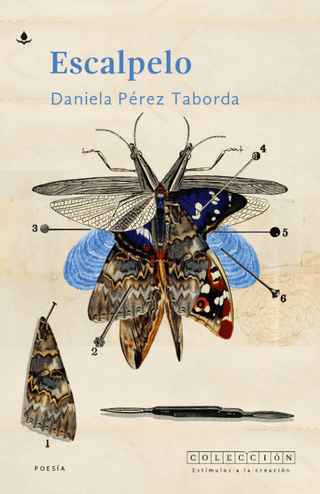 Libro Escalpelo 9786287729643