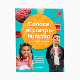 Conoce El Cuerpo Humano De La Cabeza A Los Pies