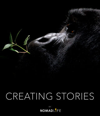 Libro Creating Stories - Am Editores 9786074373714