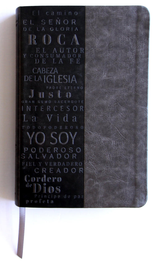 Libro Biblia Rvr 1960 Letra Grande Tamaño Manual, Simil Piel Gris Con Nombres De Dios 9781644735602