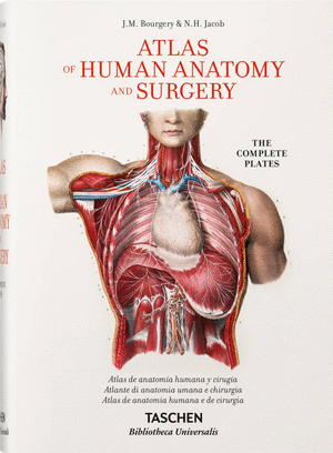 Atlas Of Human Anatomy And Surgery