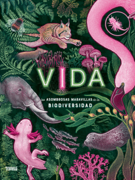 Libro Vida 9786075840338