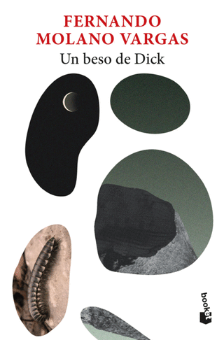 Libro Un Beso De Dick                                    9786287732698