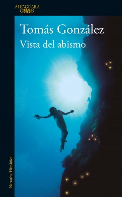 Libro Vista Del Abismo 9786287778627