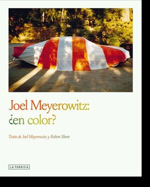 Libro Joel Meyerowitz:¿En Color? 9788410024007