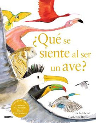 Libro ¿Qué Se Siente Al Ser Un Ave? 9788410048096