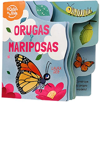 Libro Orugas Y Mariposas 9788419282262
