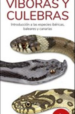 Libro Viboras Y Culebras 9788419624079