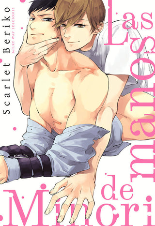 Libro Las Manos De Minori 9788419914187