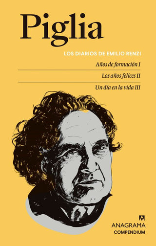 Libro Los Diarios De Emilio Renzi 9788433932044