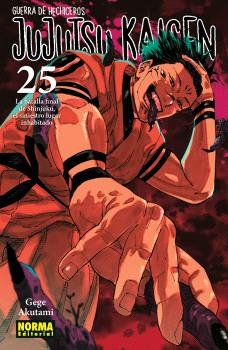 Jujutsu Kaisen 25