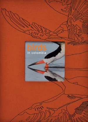 Birds In Colombia