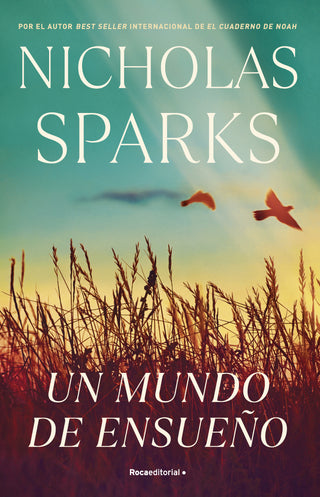 Libro Un Mundo De Ensueño 9789588763880