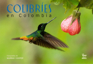 Colibries En Colombia