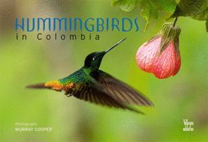 Hummingbirds In Colombia (Inglés)