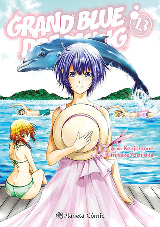 Libro Grand Blue Dreaming Nº 13 9791387779153