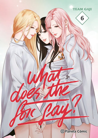 Libro What Does The Fox Say 6 9791387780470