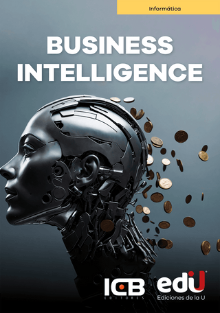 Libro Business Intelligence 9789587928280
