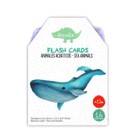 Flash Card Animales Acuaticos