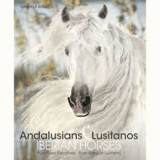 Andalusians Y Lusitanos: Iberian Horses