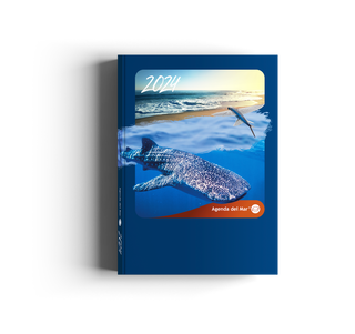 AGENDA DEL MAR 2024 (BKZ)