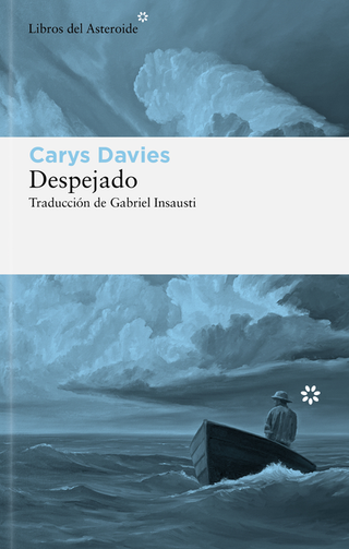 Libro Despejado 9788410178328