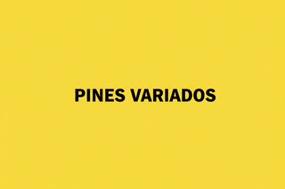 Imagen con fondo color #F1E800 y un texto negro centrado que diga "PINES VARIADOS"
