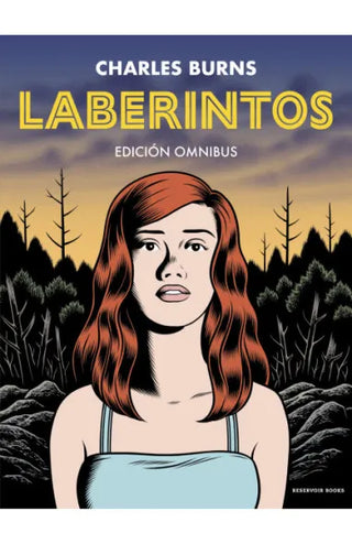 Libro Laberintos 9791387740528