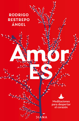 Libro Amor Es 9786287707795