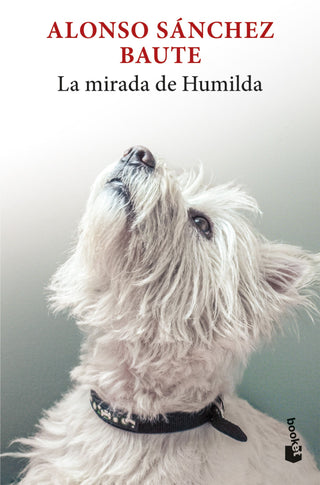 Libro La Mirada De Humilda 9786287732957