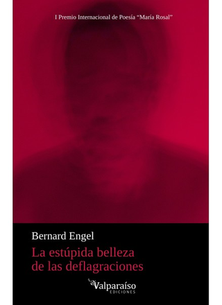 Libro La Estupida Belleza De Las Deflagraciones 9786289686555