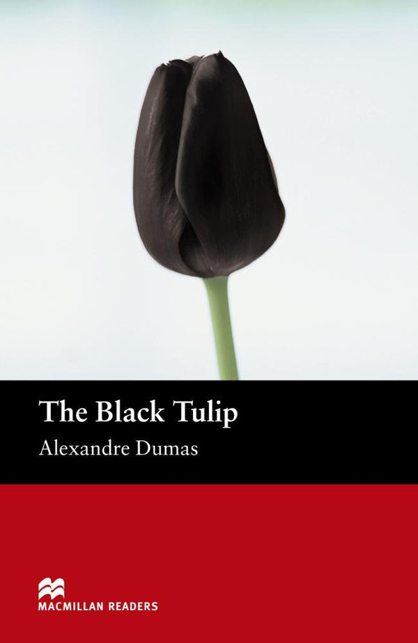 Mr (B) Black Tulip, The