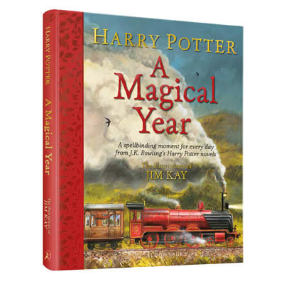 Harry Potter Magical Year