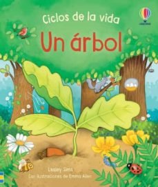 Un Arbol Ciclos De La Vida