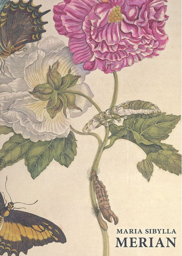 Maria Siblylla Merian- Ing