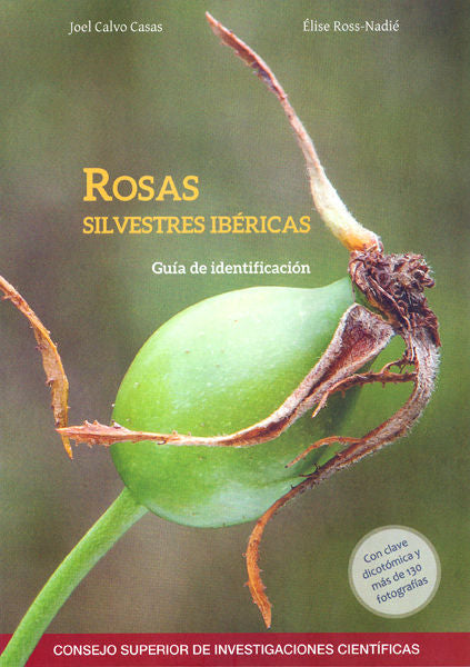 Rosas Silvestres Ibéricas : Guía De Identificación