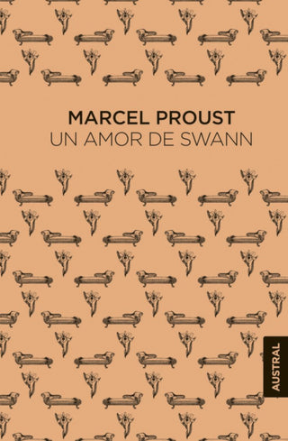 Un Amor De Swann