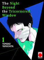 Night Beyond The Tricornered Window 01