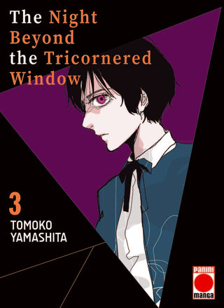 Night Beyond The Tricornered Window 03