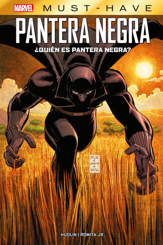 Pantera Negra Quien Es Pantera Negra