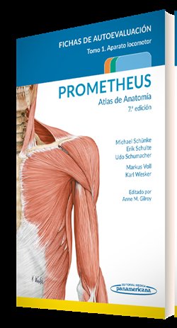 Prometheus Atlas De Anatomia Fichas De Autoevaluacion