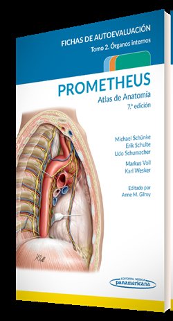 Prometheus Atlas De Anatomia Fichas De Autoevaluacion