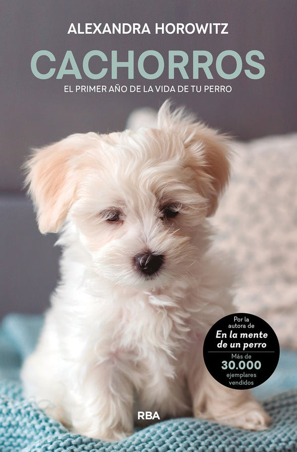 Cachorros. El Primer Año De La Vida De Tu Perro