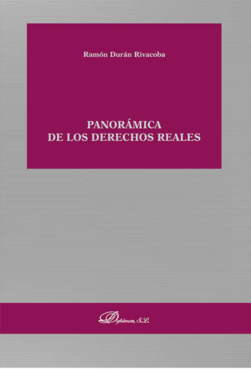 Panoramica De Los Derechos Reales