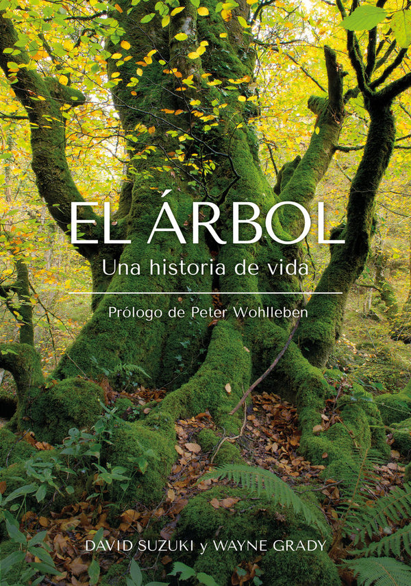 El Arbol