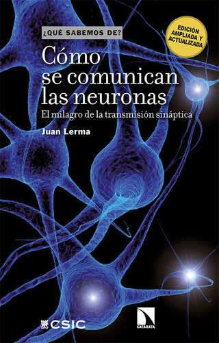 Como Se Comunican Las Neuronas