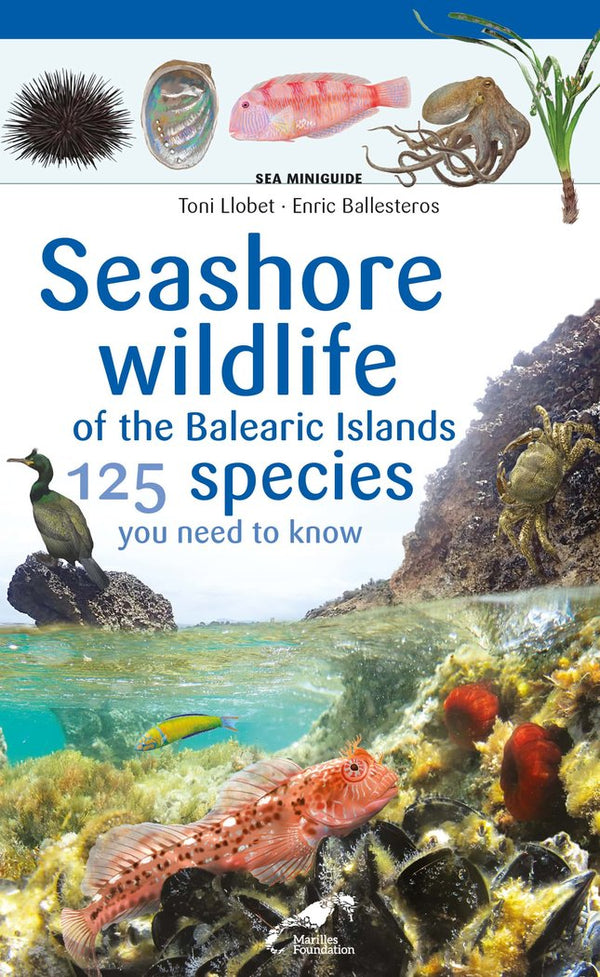 Seashore Wildlife Of The Balearic Islands