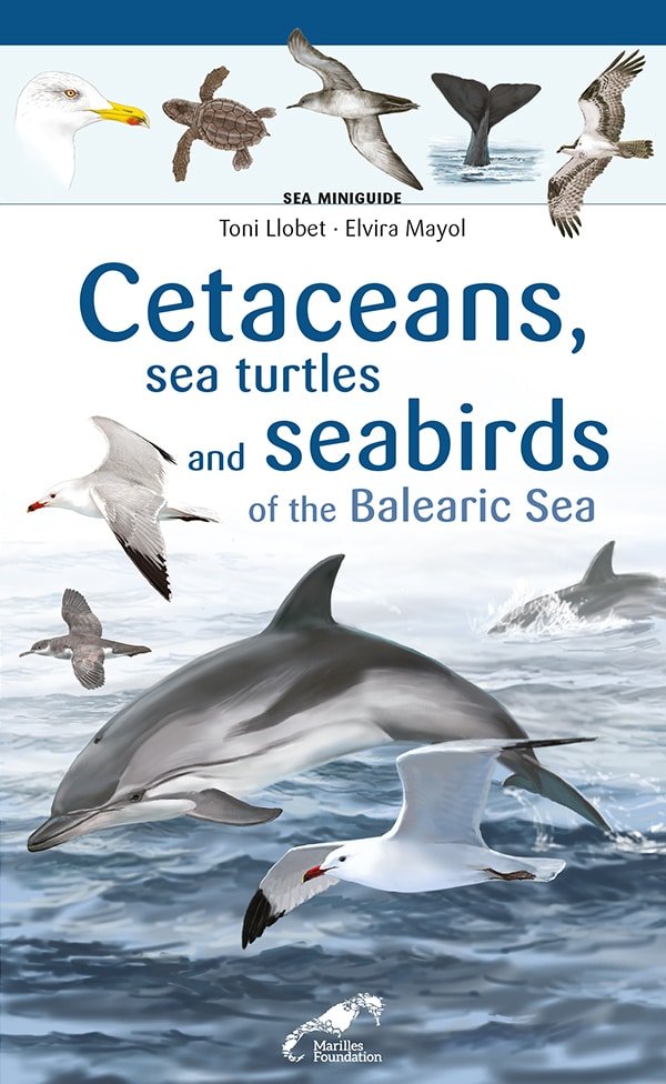 Cetaceans, Sea Turtles And Seabirds Of The Balearic Sea